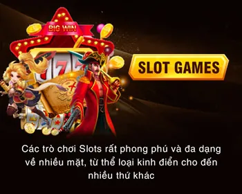 Giới thiệu chung và phạm vi áp dụng của Sodo66